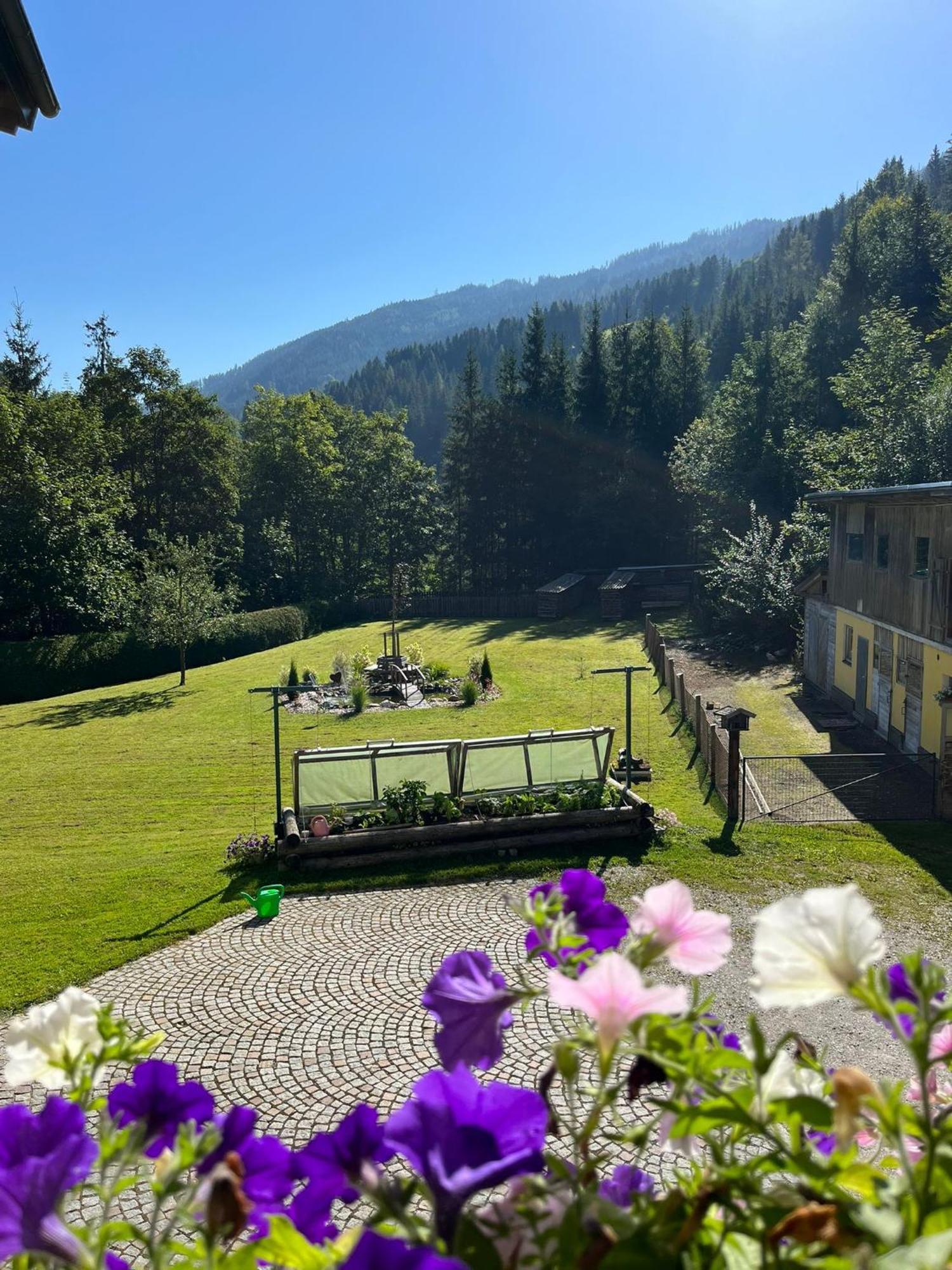 Mühlbach am Hochkönig Haus Rosina 아파트 외부 사진